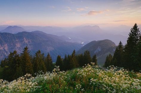 Wide Landscape Photography, Maize, Nature Aesthetic, Pretty Places, Beautiful World, Pretty Pictures, Wonders Of The World, The Great Outdoors, Mother Nature