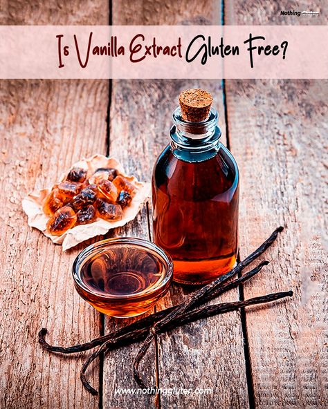 Vanilla extract is used in almost all baked goods and sweets. It adds a distinct flavor to confectionary and bakery items, enhancing their tastes. But, if you are seriously allergic to gluten, you must know, “Is vanilla extract gluten free?” Diy Extracts, Vanilla Extract Recipe, Cassia Cinnamon, Vanilla Bean Powder, Tomato Relish, Ice Cream Base, Ground Meat Recipes, Freeze Dried Fruit, Vanilla Beans