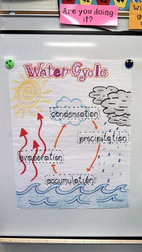 water cycle for 2nd grade | visual of the Water Cycle for my second grade class. | Science The Water Cycle Anchor Chart, Science Water Cycle, Ckla Second Grade, Water Cycle Anchor Chart, Water Cycle Activities, Cycle Poster, Water Unit, Grade 2 Science, Science Experience