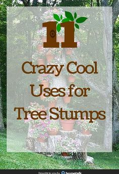 What To Do With Tree Stumps Ideas, Hollowed Out Tree Stump, Landscaping With Tree Stumps, Wood Stump Ideas Outdoor, Wood Stumps Ideas, Stump Ideas Landscaping, Landscaping Around Tree Stumps, What To Do With A Tree Stump, Things To Do With Tree Stumps