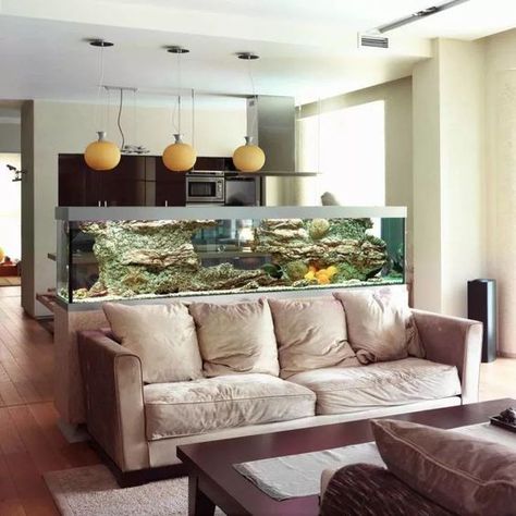 a large fish tank to divide the living room and the kitchen is a very fresh and beautiful option to go for Large Fish Tank Ideas Living Rooms, Large Fish Tank, Aquarium Coffee Table, Large Fish Tanks, Wall Aquarium, Aquarium Stand, Home Aquarium, Aquarium Design, Aquarium Fish Tank