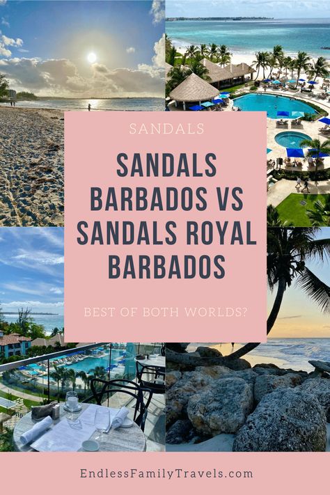 Struggling to decide which Barbados Sandals Resort to book? Let us give you our opinions based on our first-hand experience of both. We offer side-by-side comparisons and excursion options from this blissful St Lawrence Gap location. Wondering which resort wins, Sandals Barbados vs Sandals Royal Barbados? We reveal all the secrets of these wonderful resorts in this review. #Allinclusiveresort #Barbados #SandalsResorts Sandals Barbados, Barbados Resorts, Sandals Resort, Craft Beer Bar, Sandals Resorts, St Lawrence, Rooftop Restaurant, Best Resorts, Caribbean Sea