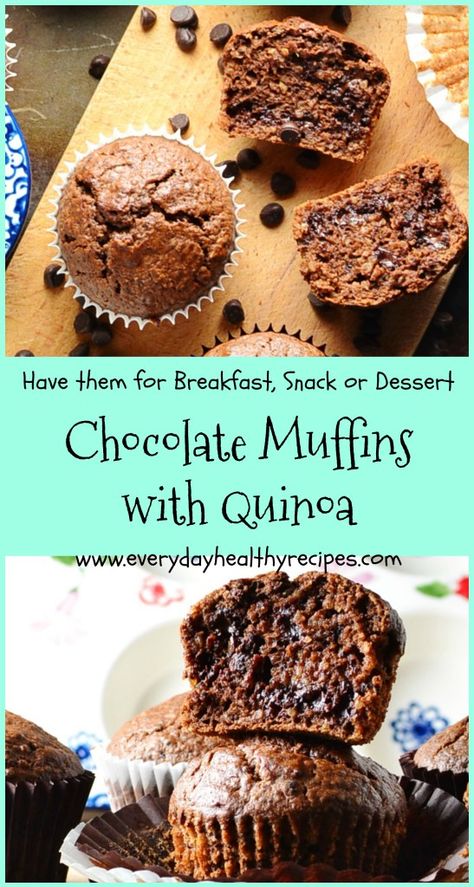 Healthy Chocolate Muffins, Quinoa Recipes Breakfast, Quinoa Recipes Easy, Quinoa Muffins, Cocoa Recipes, Adventure Seeker, Chocolate Muffins, Breakfast Smoothies, Healthy Chocolate