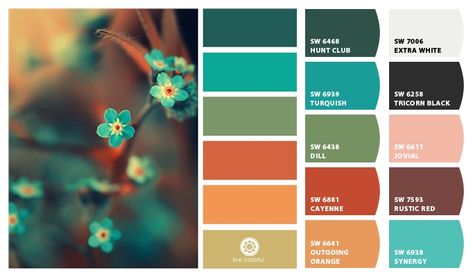 Dark Green, Turquoise, Light Army Green, Red Orange, Pale Orange Palette Design, Color Schemes Colour Palettes, Cat Air, Color Palate, Design Seeds, Pretty Colors, Colour Board, Blue Decor, Colour Schemes