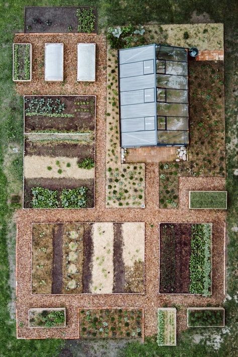 Plantarea Legumelor, Garden Area, Veg Garden, Garden Greenhouse, Have Inspiration, Greenhouse Gardening, The Secret Garden, Vegetable Garden Design, Community Gardening