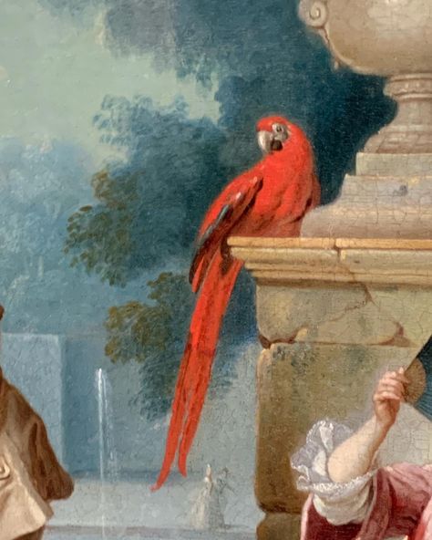 Aesthetic Parrot, Parrot Aesthetic, Artwork Museum, Painting Dress, Parrot Wallpaper, Princess Royalty, Royalty Core, Royal Room, Red Parrot