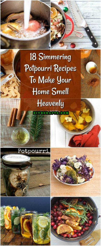 Simmering Potpourri Recipes, Holiday Potpourri, Homemade Potpourri, Simmer Pot Recipes, Stove Top Potpourri, Simmering Potpourri, Potpourri Recipes, Simmer Pot, Housekeeping Tips