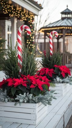 Solar Christmas Lights Outdoor, Outdoor Christmas Ideas, Outdoor Christmas Planters, Christmas Lights Outdoor, Solar Christmas Lights, Planters Ideas, Cozy Winter Decor, Outdoor Christmas Decoration Ideas, Outdoor Decoration Ideas