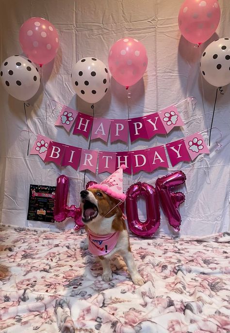 Margie's Pink Birthday Blast 🎀 Birthday Blast, Dog Bedroom, 18th Birthday Decorations, 35th Birthday, Golden Birthday, Dog Birthday Party, Pink Birthday, Pink Dog, Dog Birthday