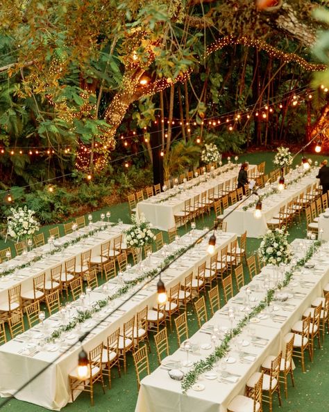 Some of our favorite reception set ups at one of our favorite venues @villa_woodbine 🪩🩷 Photo - @kristinakarinaphotofilms @aleegleibermanphoto @marissa.demott @thecardonas #southfloridaweddings #luxuaryweddingplanner #thatgirlwedding #thatgirlaesthetic #timelessweddingdesign #gardenpartywedding #modernbride #modernwedding #2025bride #2024bride #luxuryeventplanner #destinationweddingplanner #destinationeventplanner #destinationeventplanner #destinationweddingplanner #palmbeachweddings #miami... Coastal Wedding Theme, Villa Woodbine Wedding, Mood Wedding, Villa Woodbine, Jungle Wedding, Destin Florida Wedding, Bali Wedding, Garden Party Wedding, Nontraditional Wedding