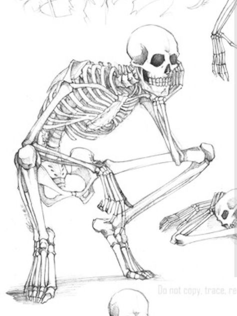 Skeleton Poses Reference Drawing, Skeleton Bending Over, Skeleton Sitting Criss Cross, Skeleton Wearing Clothes Drawing, Skeleton Laying Down Drawing, Skeleton Sitting Drawing, Skeleton Sitting Down, Skeleton Legs Drawing, Armchair Sketch