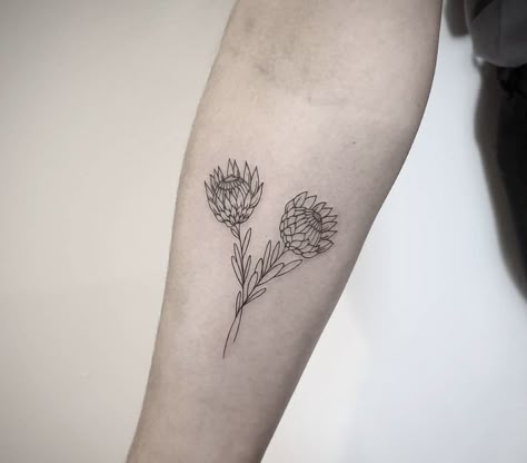 Protea Tattoo, Line Drawing Tattoos, Starfish Tattoo, Africa Tattoos, Australian Tattoo, Protea Flowers, Daffodil Tattoo, Bookish Tattoos, Lioness Tattoo