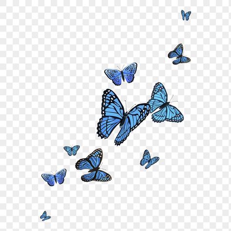 Blue Butterfly Png, Butterfly Border, Png Border, About Butterfly, Transparent Art, Watercolor Collage, Flower Png Images, Butterfly Png, Photo Background Images Hd