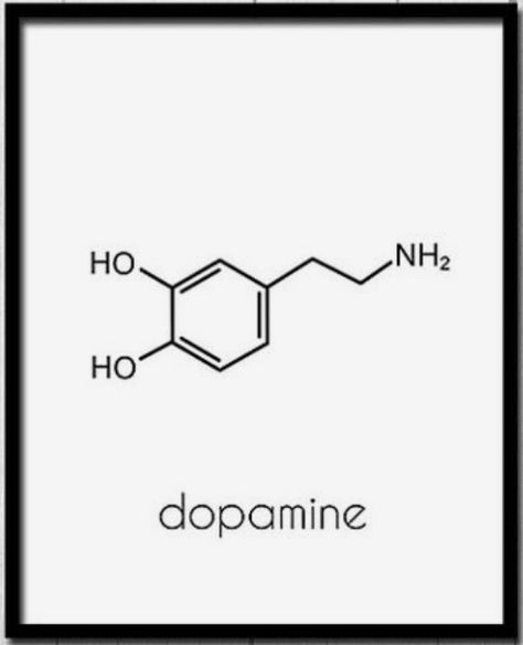 Audhd Tattoo Ideas, Chemical Formula Tattoo, Physics Tattoo Ideas, Dopamine Molecule Art, Psychology Tattoo Minimalist, Mathematics Tattoo, Chemistry Tattoo Ideas, Chemical Tattoo, Dopamine Tattoo