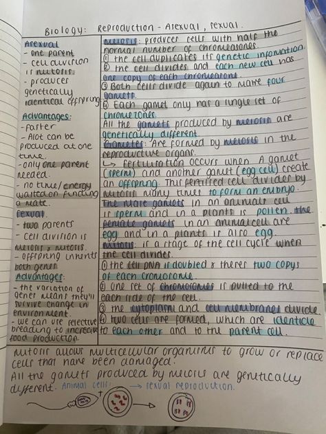 Biology Revision Notes, Asexual Reproduction, Literature Notes, English Literature Notes, Science Revision, Biology Revision, Gcse Science, Revision Notes, Science Notes