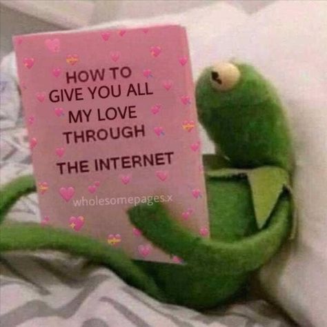 Sapo Kermit, Love You Meme, Wholesome Pictures, Response Memes, Snapchat Stickers, Current Mood Meme, Cute Love Memes, Snapchat Funny, You Meme