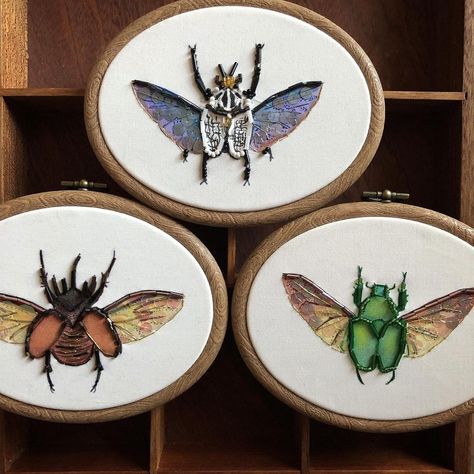 Rhino Beetle, Open Wings, Water Colour, Beetles, Metallic Thread, Taxidermy, Paint Colors, Watercolor Paintings, Decorative Plates