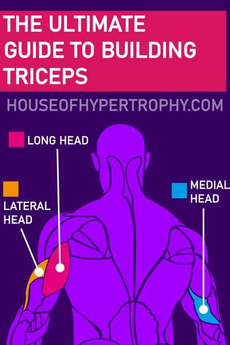 Medial Head Tricep Workout, Long Head Tricep Workout, Tricep Muscle Anatomy, Inner Tricep Workout, Lateral Head Tricep Exercises, Tricep Long Head Workout, Long Head Tricep Exercise, Tricep And Chest Workout, Tricep Heads