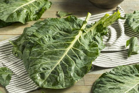 Canning Collard Greens Using A Pressure Canner How To Cook Collards, Canning Diva, Southern Style Collard Greens, Most Nutritious Vegetables, High Protein Vegetables, Protein Vegetables, Braised Greens, Collard Greens Recipe, Tofu Curry