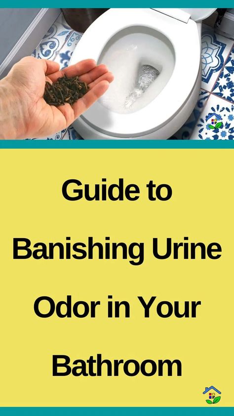 Urine odor is one of the most annoying and unpleasant odors that you thought is hard to get rid of. Let us prove you wrong. Since every problem has a solution, we would like to suggest the perfect solutions to effectively eliminate unpleasant odors and keep the bathroom clean and fresh. I-Get rid of urine […] Get Rid Of Urine Smell In Bathroom, Every Problem Has A Solution, Cloudy Urine, Toilet Drain, Urine Odor, Lips Photo, Urine Smells, Nerve Pain Relief, Bad Odor