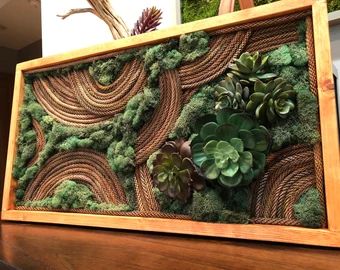 BotanicalFindsArt | Etsy Succulents Wall Decor, Mos Wand, Succulents Wall, Moss Walls, Moss Decor, Living Wall Art, Succulent Wall Art, Plant Crafts, Plant Wall Decor