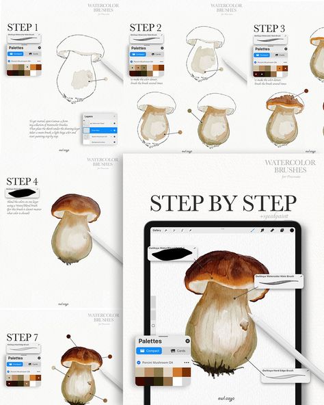 Step by Step Tutorial in Procreate - Porcini Mushroom ✏️ The sketch, color palette, PDF guide are available on my Patreon for FREE. Link in bio ✨ ✏️ Watercolor Procreate Brushes. Link in bio ✨ ✏️ Unlock process videos, step-by-step guides, sketches and color palettes by joining my Patreon! Link in bio ✨ #procreatebrushes #procreate #watercolor #digitalwatercolor #stepbystep #tutorial #procreatebrushset #sketching #ipad #digitalsketches #drawingprocess #dailydrawing #illustrator #watercolor_d... Procreate Watercolor Tutorial, Procreate Illustration Tutorial, Procreate Guide, Procreate Tutorial Step By Step, Procreate Drawing Tutorials, Procreate Step By Step, Procreate Sketches, Watercolor Procreate, Painting Journal