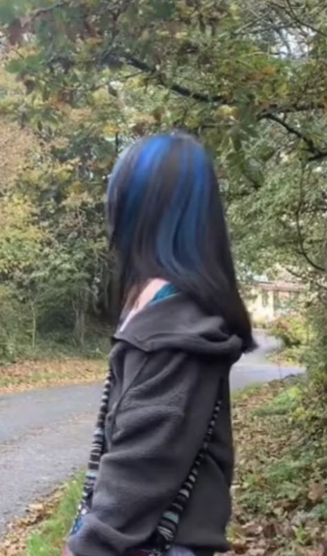 Brown Hair With Blue Skunk Stripe, Dark Blue Brown Hair, Blue Racoon Tail Hair, Light Brown Hair With Blue Highlights, Dark Red Hair Highlights, Blue Skunk Hair, Blue And Brown Hair, Blue Tips Hair, Blue Hair Streaks