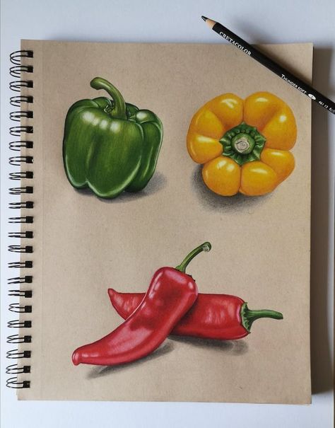 Colored Pencil Artwork Ideas, Fruit Art Drawings, Colored Pencil Art Projects, Dekorasi Halloween, Color Pencil Sketch, Prismacolor Art, Fruits Drawing, Realistic Pencil Drawings, Colored Pencil Artwork