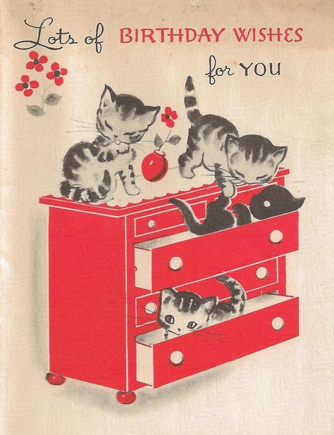 my cat went in the top drawer, got over the back, fell through to the bottom.  I opened the bottom drawer and she looked at me like What the hell just happened? Happy Birthday Cat, Kittens Vintage, Kitten Party, Kitten Birthday, Happy Birthday Vintage, Cat Birthday Card, Vintage Birthday Cards, Birthday Wishes Funny, Birthday Book