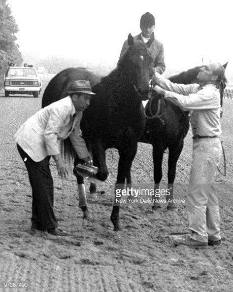 Ruffian Bobby Riggs, Derby Winners, Billie Jean, Horse Race, Billie Jean King, Broken Leg, Triple Crown, Quarter Horse, Photo Puzzle