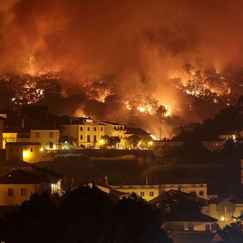 #Monchique #fogos #fire #Portugal #helicopter 📷 Guillermoalvarezcalderon@gmail.com David Wallace, School Climate, Sea Level Rise, Vr Experience, Climate Action, Forest Fire, Power Plant, In Law Suite, Natural Disasters