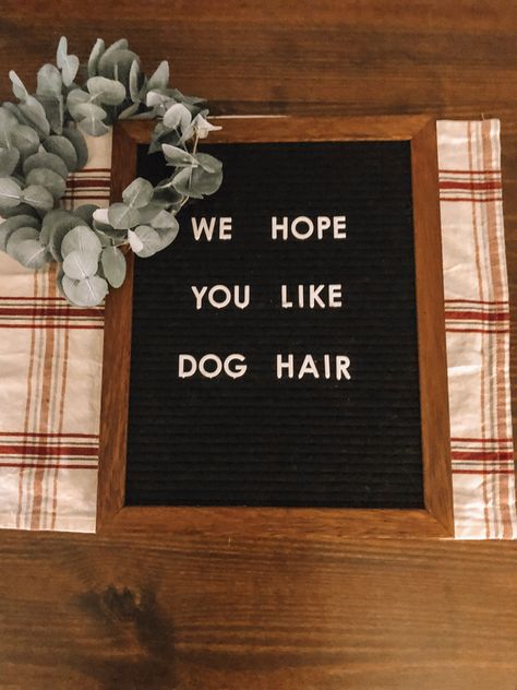 Everyday Letter Board Quotes, Welcome Letter Board Quotes, Welcome Home Letter Board Quotes, Letter Board Quotes Wedding, Short Letter Board Quotes, Aesthetic Letter Board, Word Board Quotes, Dog Letter Board Quotes, Dog Letterboard Quotes