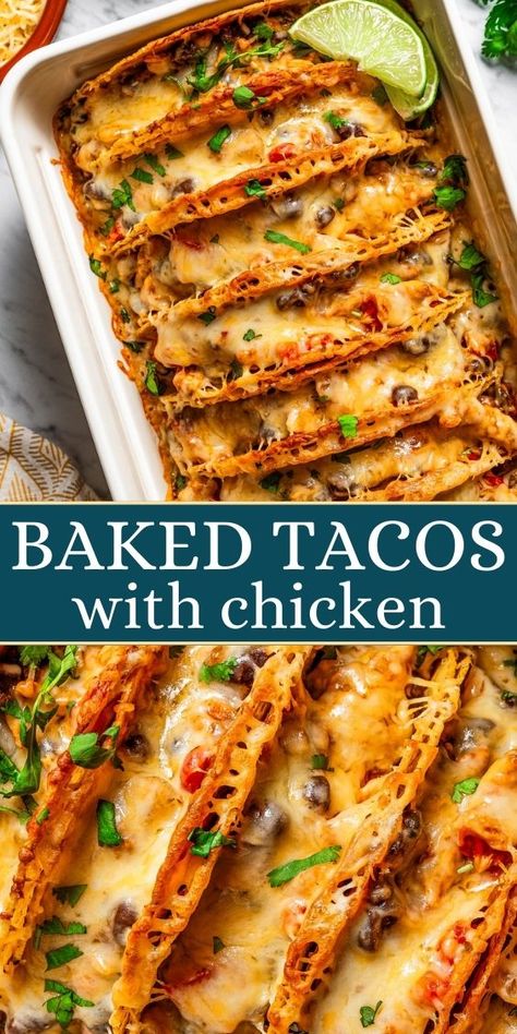 Baked Chicken Tacos Recipe, Crunchy Baked Chicken, Baked Tacos, Crispy Taco Shells, Recipe For A Crowd, Baked Tacos Recipe, Baked Chicken Tacos, Shredded Chicken Tacos, Chicken Taco Recipes