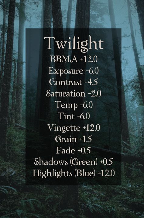 Picture of forest edited to look like the Twilight blue filter with instructions to recreate it in VSCO Gloomy Photo Edit, Twilight Vsco Filter, Goth Photo Editing, Aesthetic B612 Filters, Twilight Photo Editing Tutorial, Twilight Nails Aesthetic, Twilight Filter Tutorial, Twilight Filter Aesthetic, Photo Saturation