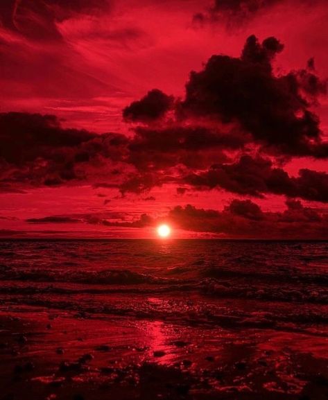 Red Aesthetic Sunset, Rosso Aesthetic, Red Core Aesthetic, Red Background Aesthetic, Red Aesthetic Grunge, Red Rising, Red And Black Wallpaper, Dark Red Wallpaper, Red Pictures