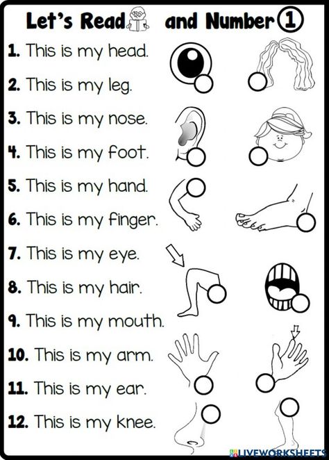 Parts Of Our Body Worksheet, Match The Body Parts Worksheet, Parts Of Body Worksheet For Kindergarten, Part Of The Body For Kids, Parts Of The Body For Kids Worksheet, Part Of Body For Kids, Body Parts Worksheet For Grade 1, Body Parts For Kids Worksheets, Parts Of The Body Worksheets Preschool