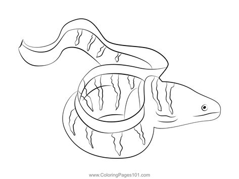 Barred Moray Eel Coloring Page Moray Eel Drawing, Eel Drawing, Eel Art, Moray Eel, Sketches Simple, Cute Doodle Art, Bible School, Cute Doodles, Free Kids