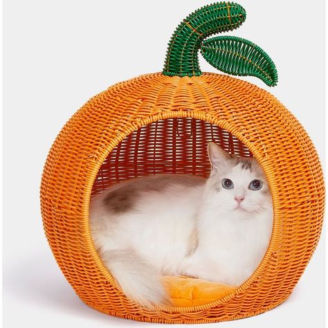 VETRESKA Rattan Cat & Dog Bed, Tangerine - Chewy.com Kitten Bed, Small Dog House, Kitten Beds, Cactus Cat, Cat Tent, Indoor Cats, Cat Condo, Cat Tower, Large Cats