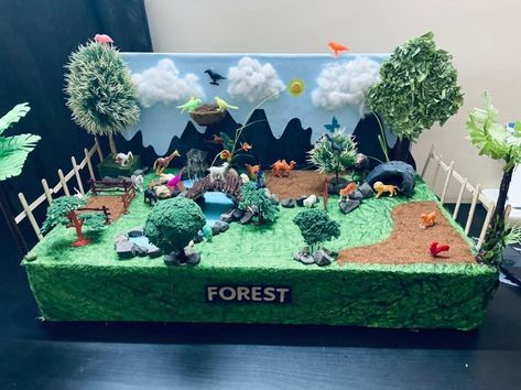 3d Forest Project, Forest Model Project, Forest Exhibition Design, Forest Projects For Kids, Diorama Ideas For Kids School Projects, Forest Model School Project, Forest Ecosystem Project, Forest Crafts For Preschool, Jungle Diorama