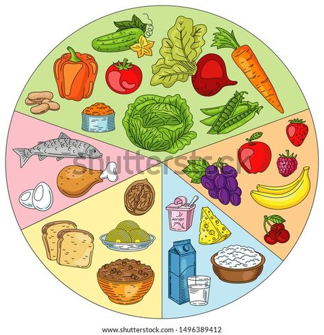 Healthy Food Plate, Nutritious Meals, Plate Sets, Preschool Activities, Image Illustration, Stock Vector, Preschool, Royalty Free, Kids Rugs