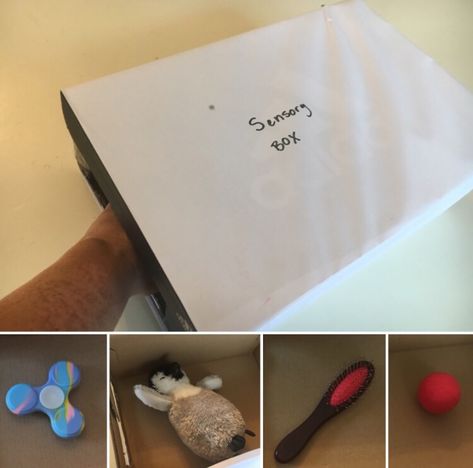 Guess What it is? Sensory Box Passive Programs, Interesting Textures, Reunion Games, Family Reunion Games, Sensory Boxes, Educational Activities, Read Aloud, Easy Projects, Family Reunion