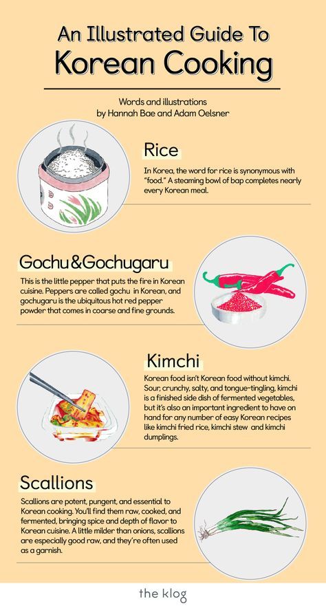 Korean cooking is so colorful and delicious! Check out this super cool illustrated guide to the basics to any Korean meal - rice, gochu and gochugaru, kimchi, and scallions - on The Klog! Korean recipes can be simple. Korean Food Recipes, Recipes Korean, Korean Kitchen, Paella Valenciana, Korean Cooking, Food Infographic, Korean Recipes, K Food, Ethnic Food