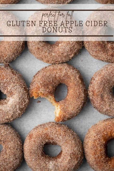 gluten free apple cider donuts Gluten Free Apple Donuts Baked, Apple Donuts Recipe Gluten Free, Apple Cider Donuts Gluten Free, Gluten Free Apple Cider Desserts, Gluten Free Cider Donut Recipe, Gf Apple Cider Donuts Recipe, Vegan Gluten Free Doughnut Recipe, Gluten Free Apple Cider Bread, Gluten Free Apple Cider Donuts Baked