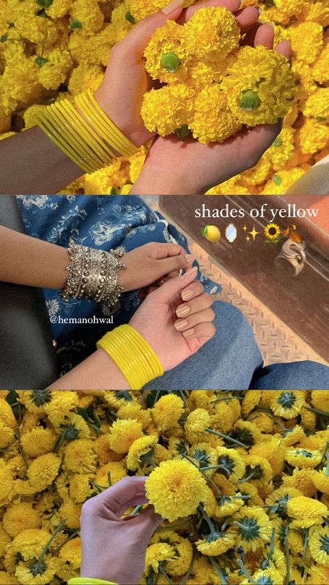 Yellow🍋💭🥛🪞✨ Desi Core Instagram Story, Yellow Indian Aesthetic, Yellow Photo Aesthetic, Yellow Desi Aesthetic, Desi Layout, Yellow Layout, Photo Inspiration Instagram, Indian Wedding Aesthetic, Wedding Collage