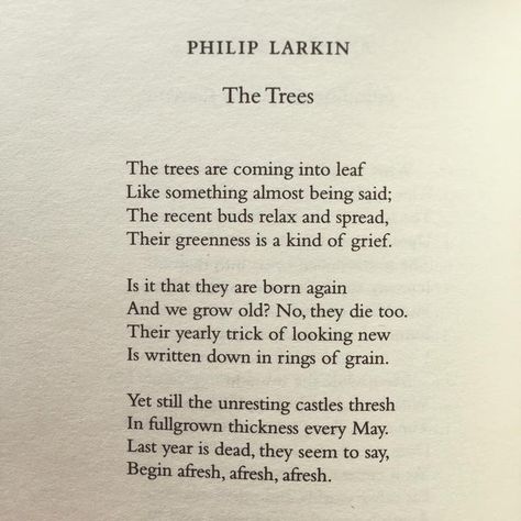 May Poems, Philip Larkin Poems, Poetic Inspiration, Spring Poem, Philip Larkin, Nature Poem, Soul Poetry, Poem A Day, Poetry Lines