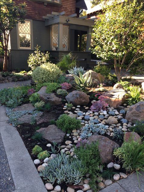 Xeriscape Front Yard, Succulent Landscape, Low Maintenance Front Yard, Funny Vine, Garden Pathways, Summer Dreaming, Yard Landscaping Simple, Rock Garden Design, Rock Landscaping