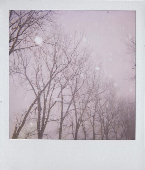 Winter Vintage Photography, Polaroid Photo Aesthetic, Snow Polaroid, Polaroid Aesthetic, Polaroid Photography, Instant Photography, I Love Snow, The Mundane, Polaroid Pictures