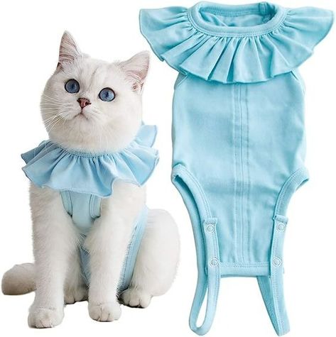 Outfits For Cats, Cat Outfits Pets, Fat Cats Funny, Cat Wounds, Kat Diy, Recovery Shirts, Dog Clothes Diy, Puppy Dress, Diy Dog Bed