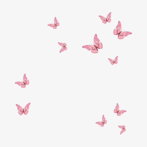 Butterflies Png, Butterflies Pink, Cute Captions, Butterfly Png, Butterfly Background, Katrina Kaif, Pink Art, Butterfly Wallpaper, Pink Butterfly