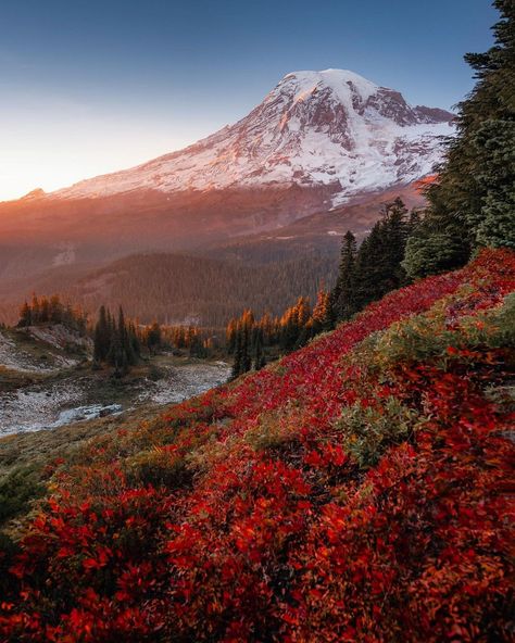 RYAN RESATKA on Instagram: “Mountainside autumnal lava flow 🔥🍂 the reds have been stellar out here lately. So excited to get out and shoot more falls stuff these next…” Lava Flow, The Lake District, Lake District, Mount Rainier, Getting Out, Fall Season, Beautiful Views, So Excited, United States Of America